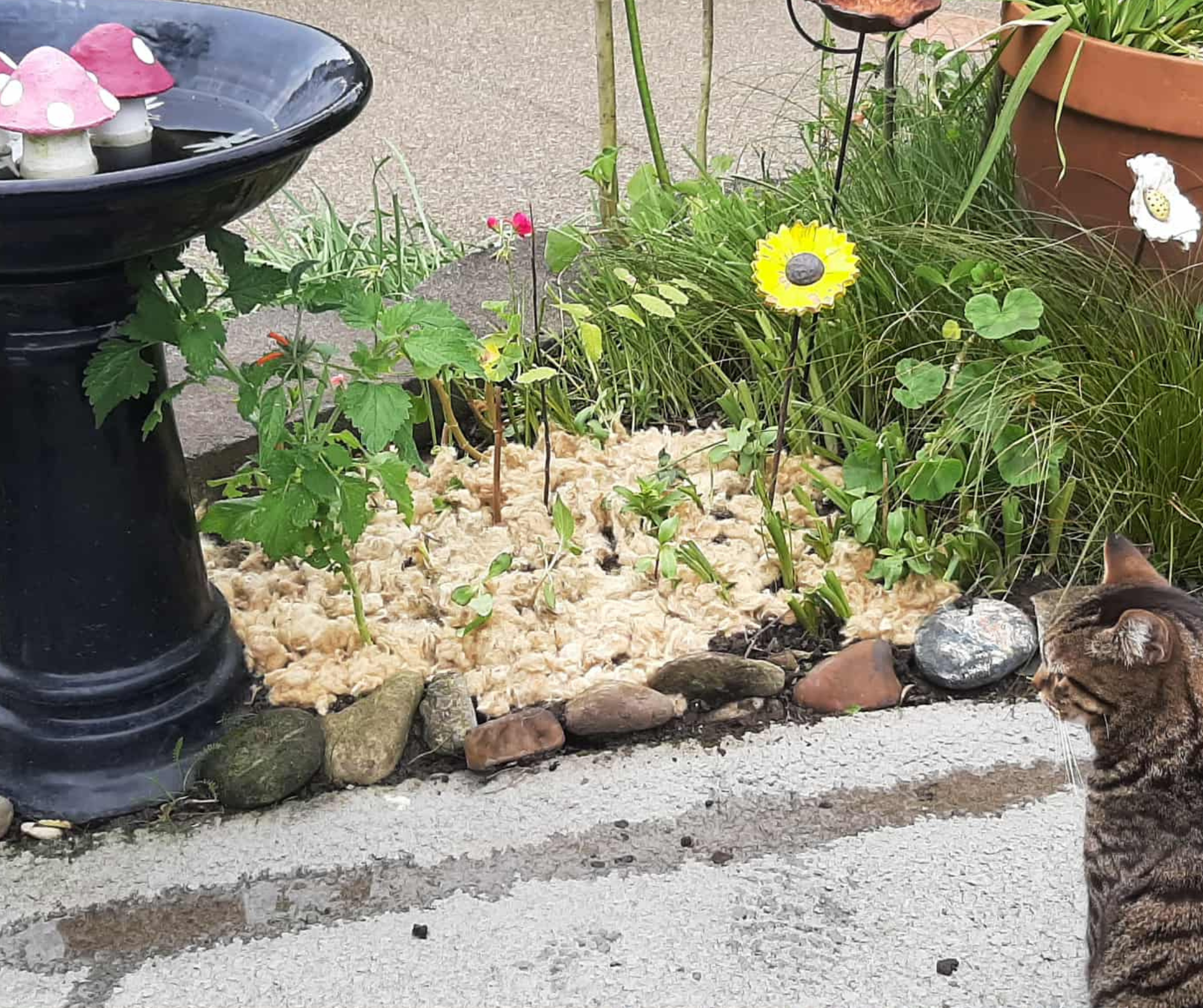 How to Create a Low-Maintenance Garden Naturally