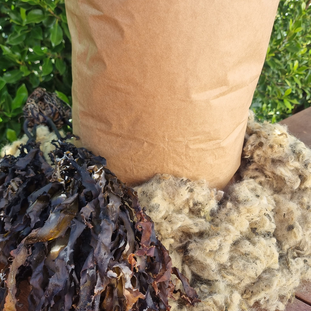 Close-up of a hand holding a bundle of dried seaweed with greenery in the background