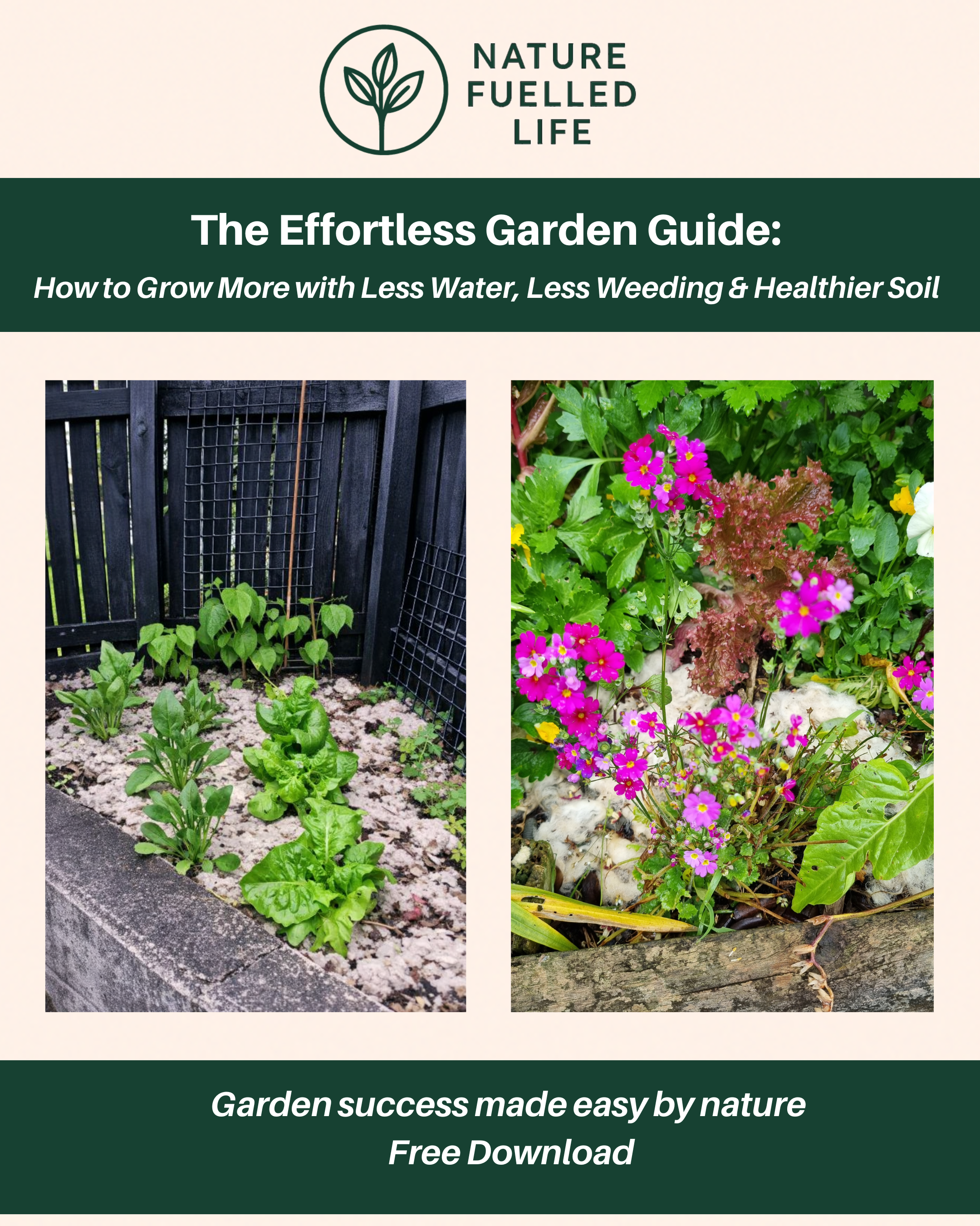 The Effortless Garden Guide - Free Download