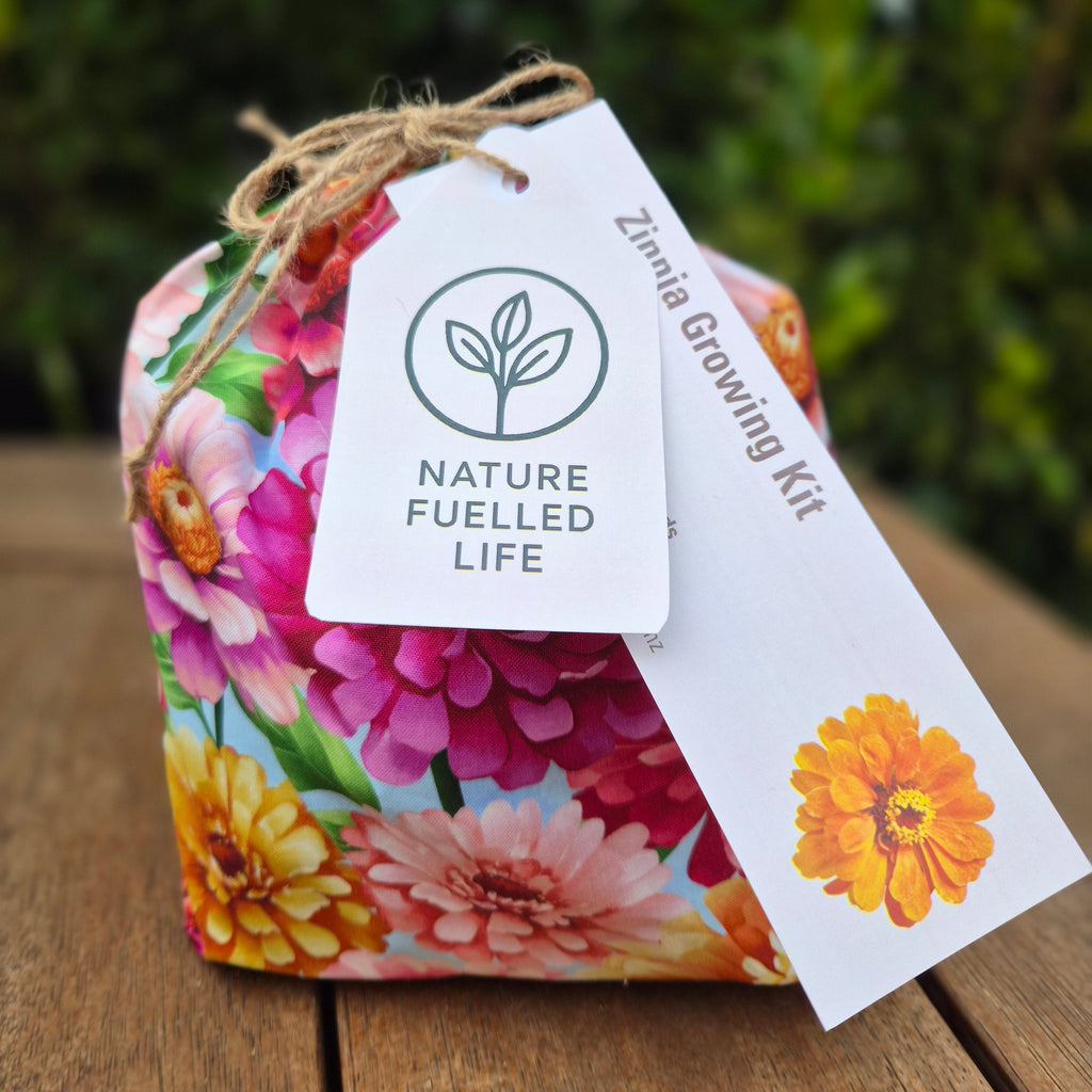 Giant Zinnia Growing Kit – Seeds, Soil Pods & Wool Mulch Gift Set