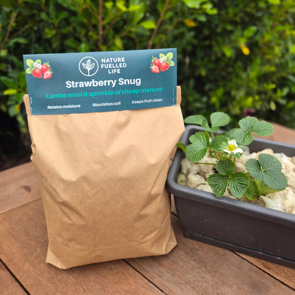 1kg Strawberry Snug  - NZ Lambs Wool Mulch for Strawberry Plants, Pots & Garden Patches